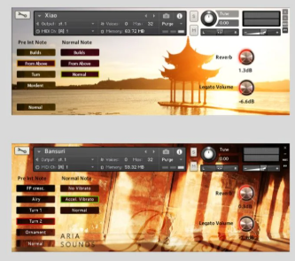 ARIA SOUNDS ETHNIC WOODWINDS FLUTES